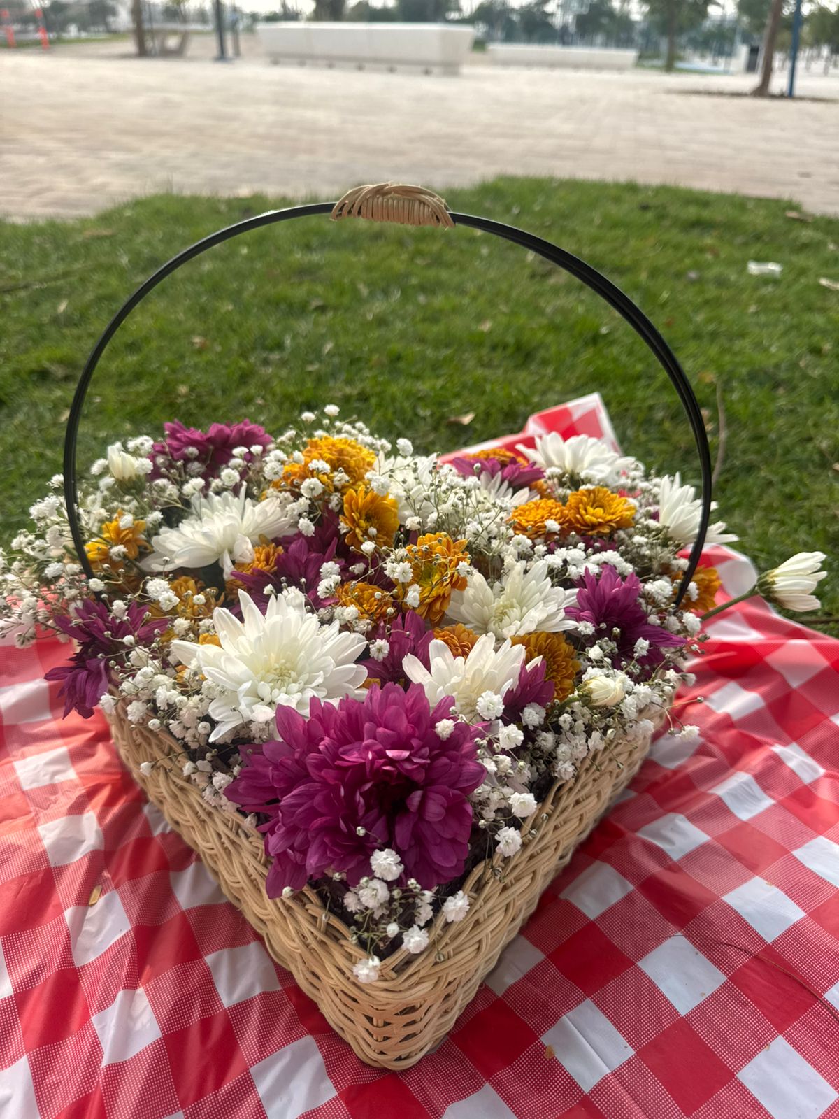 Winter 2026 Picnic Bundle