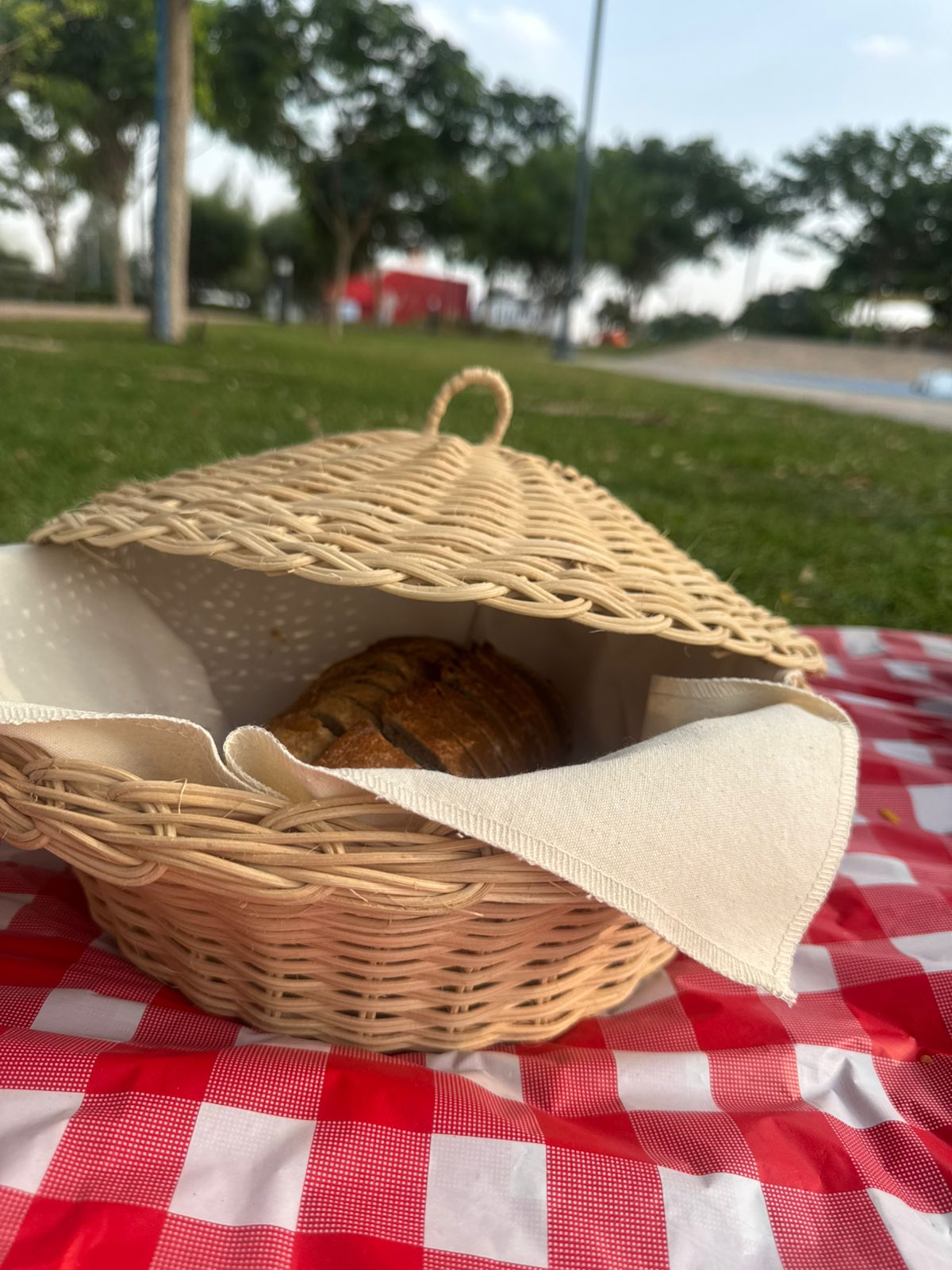 Winter 2026 Picnic Bundle