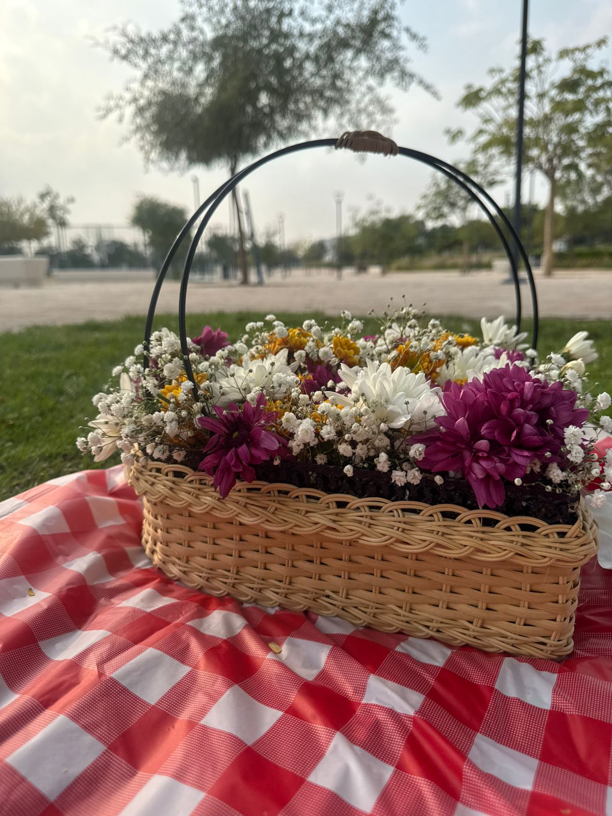 Winter 2026 Picnic Bundle