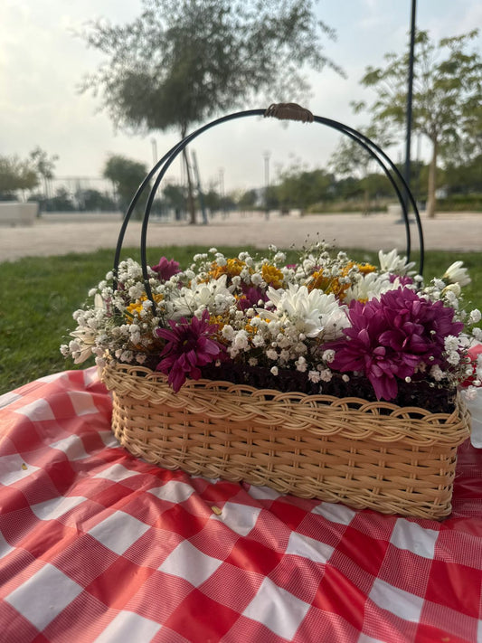 Winter 2026 Picnic Bundle